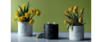 Cashback at Plant Based Candles