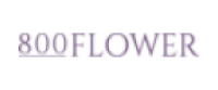 Cashback at 800 Flower | UAE | Links AE