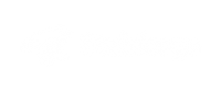 Cashback at Stubforge