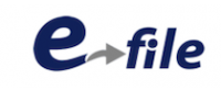 Cashback in E-File US