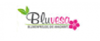 Bluvesa DE de para iadesi