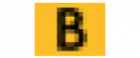 Cashback in BagInc US
