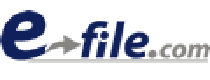 Cashback in E-file Tax Returns US