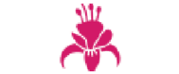 Cashback in Fuchsia US