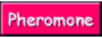 Cashback bei eroscape DE