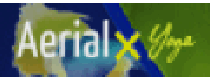 Cashback bei AerialX DE