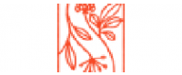 Cashback in Root Logic US
