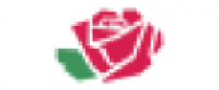 Cashback in Sallyrose US