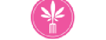 Cashback in Z-Dog Media, llc US