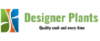 Designer Plants USA US पर कैशबैक