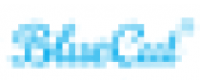 Cashback in BlueCut US