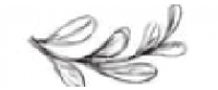 Cashback in J&L Naturals US