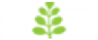 Cashback in Kuli Kuli Foods US