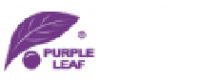 Purple Leaf पर कैशबैक
