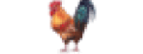 Cashback in Chicken Coop Company US