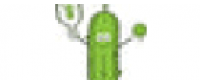 Cashback in Big Dill Pickleball Co US
