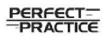 Perfect Practice de para iadesi