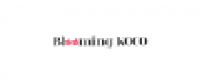 Cashback in Style Korean US