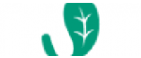 Cashback in Jade Leaf Matcha US