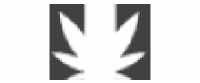 Cashback in Dasy LLC US