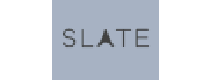 Cashback in Slate Flosser US