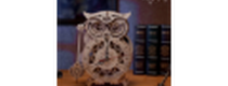 Cashback bei MagicHolz DE