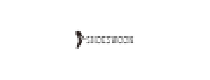 Cashback in Shoeswoon US