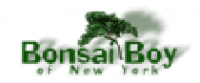 Reembolso na Bonsai Boy of New York US
