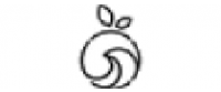 Cashback at NoNetz, Inc. US
