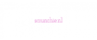 Reembolso na Scrunchie.nl NL