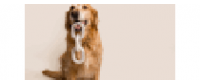 Reembolso na Reese + Murphy LLC US