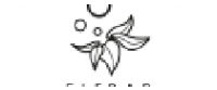 Reembolso na elfbar.co.uk GB