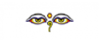 Cashback at EFE GLASSES US