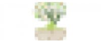 Reembolso na Our Recipe Tree US