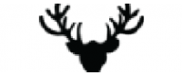 Cashback at Taxidermy LLC US