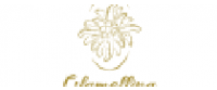 Reembolso na Glamellina - CPA FR