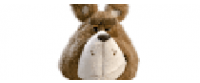 Reembolso na PLUSH PL 2