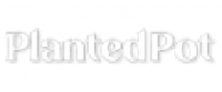 Reembolso na Holista LLC US